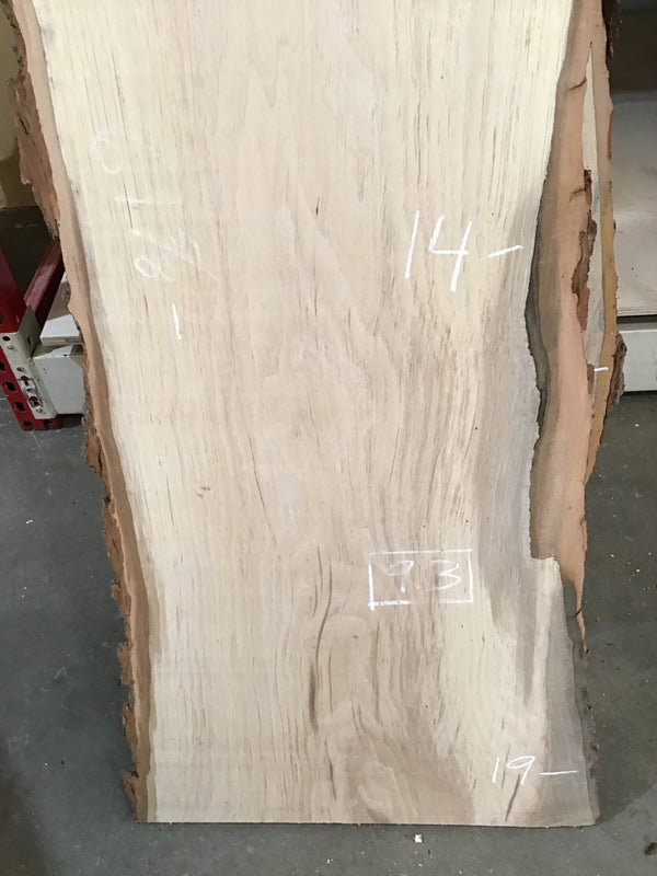 Pecan #PE127