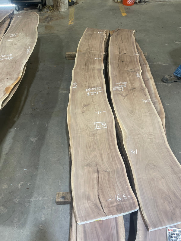 Black Walnut #BW1553