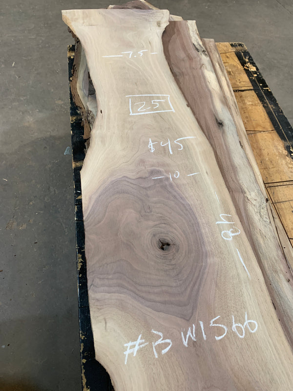 Black Walnut #BW1566