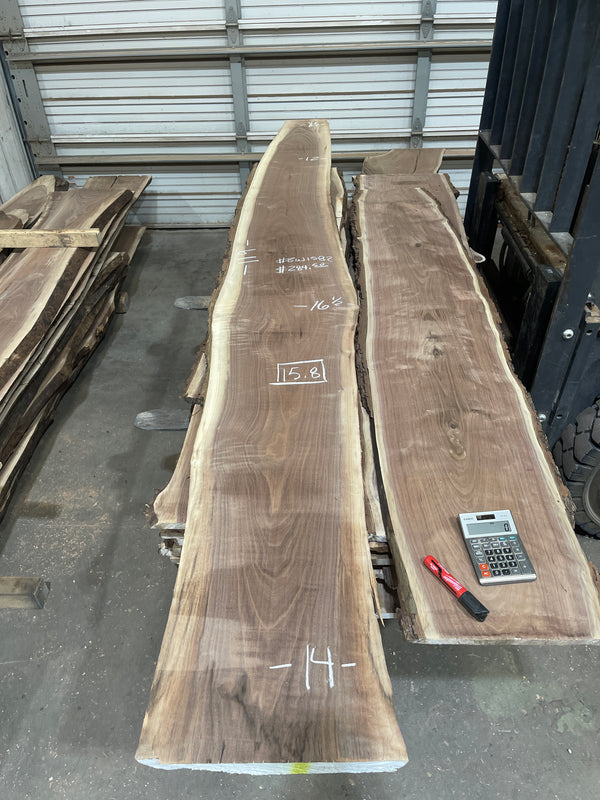 Black Walnut #BW1582