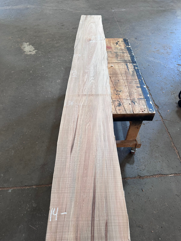 Rock Elm #RE05