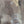 Load image into Gallery viewer, Black Walnut Live Edge Slab #BW05, 16.7 BF, 84 in. Long
