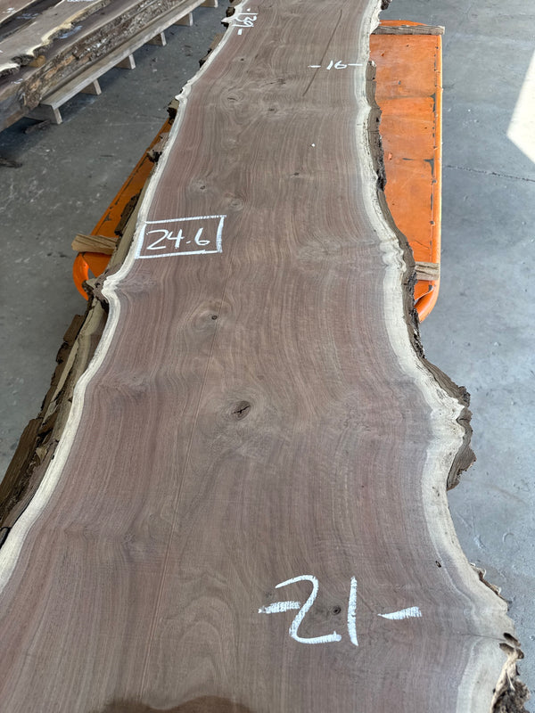 Black Walnut Live Edge Slab #BW1593 – 24.6 BF, 139" Long
