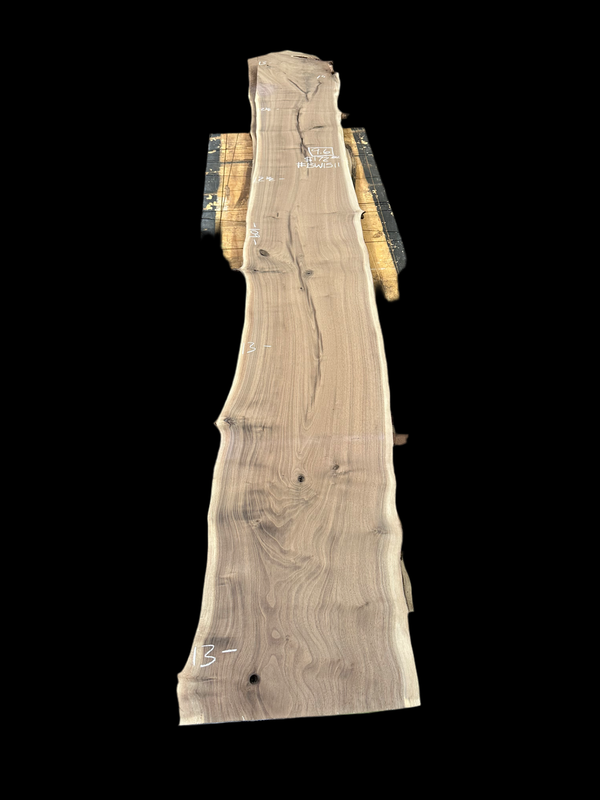Black Walnut #BW1511