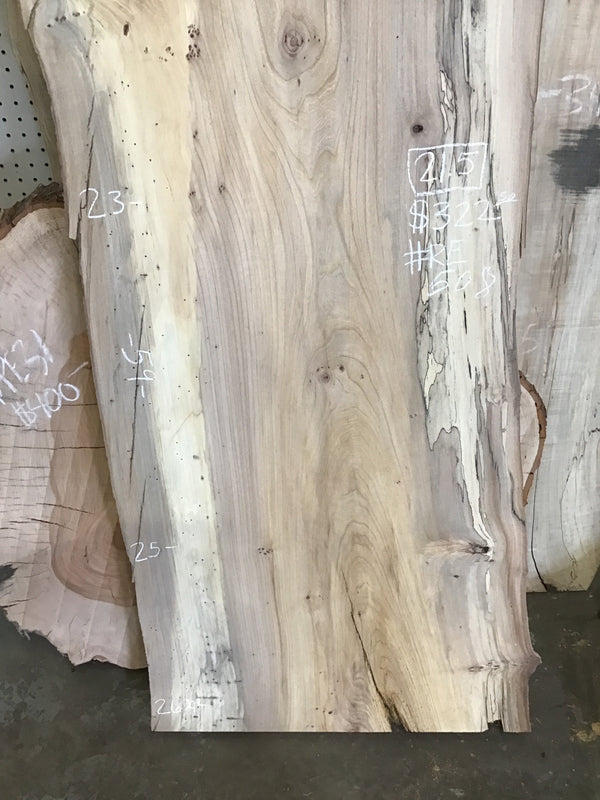 Red Elm #RE508