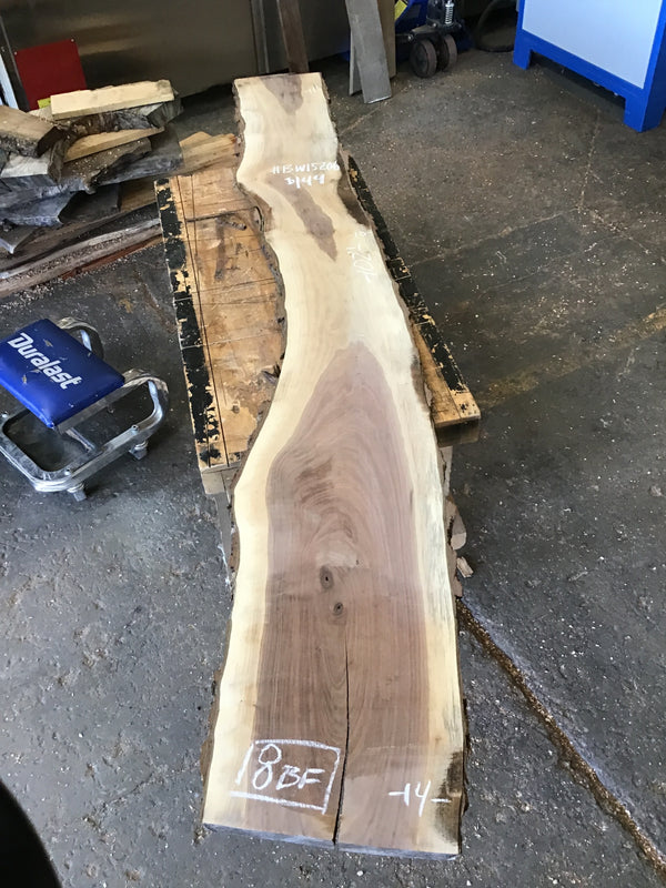Black Walnut Slab #BW15206