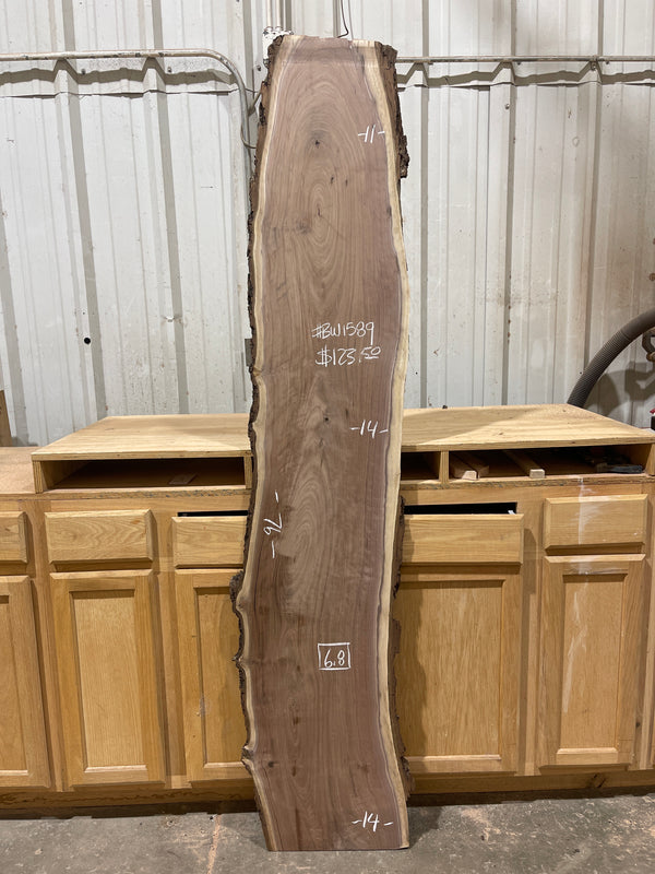 Black Walnut #BW1589