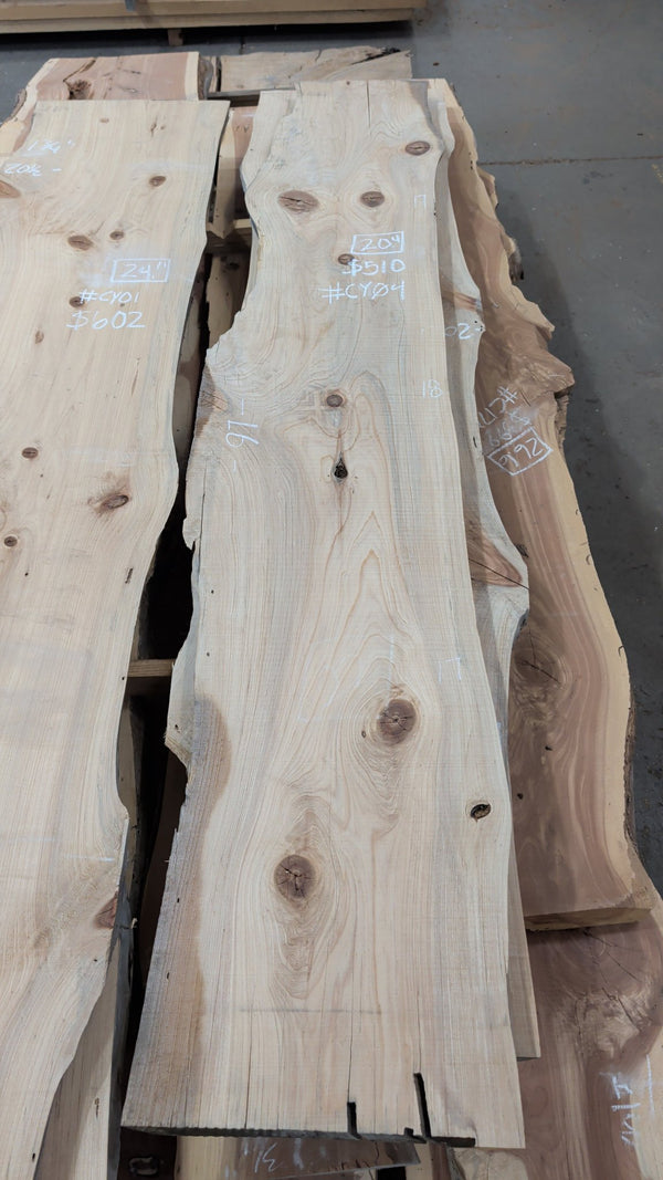 Bald Cypress live edge slab #CY04, full view