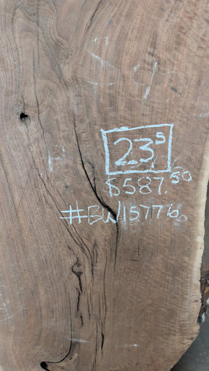 Black Walnut Live Edge Slab #BW15776, chalk specs close-up