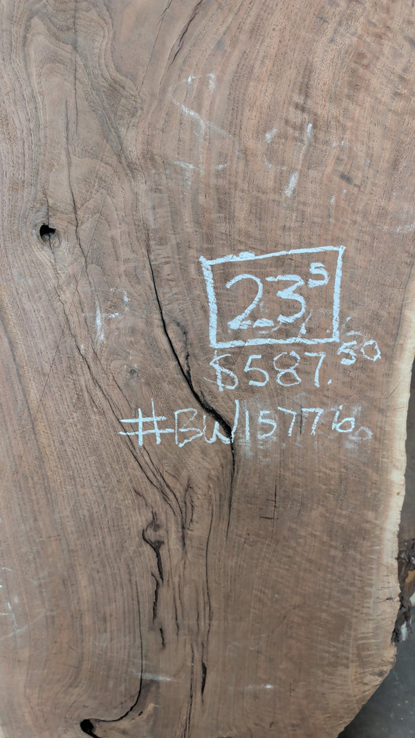 Black Walnut Live Edge Slab #BW15776, chalk specs close-up
