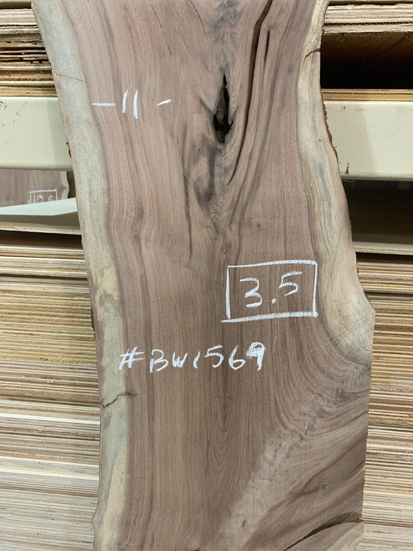 Black Walnut #BW1569