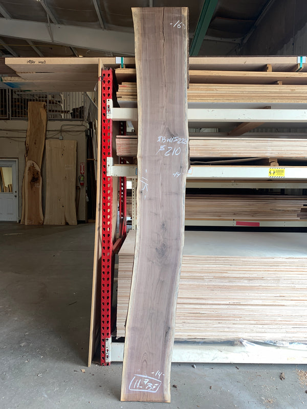 Black Walnut Slab #BW15228