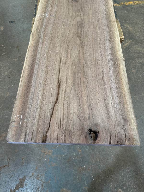 Black Walnut #BW1505