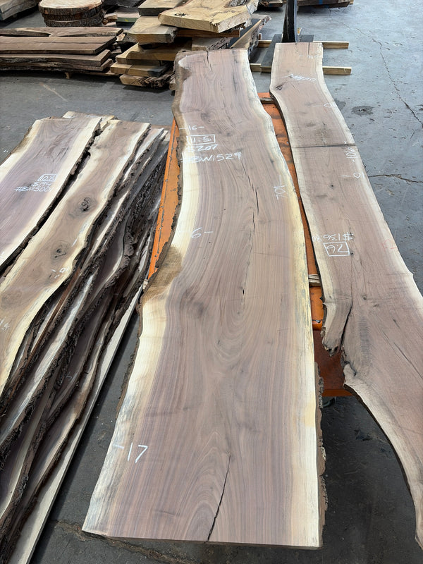 Black Walnut #BW1529