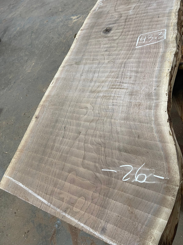 Black Walnut #BW980