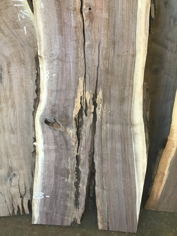 Black Walnut #BW901