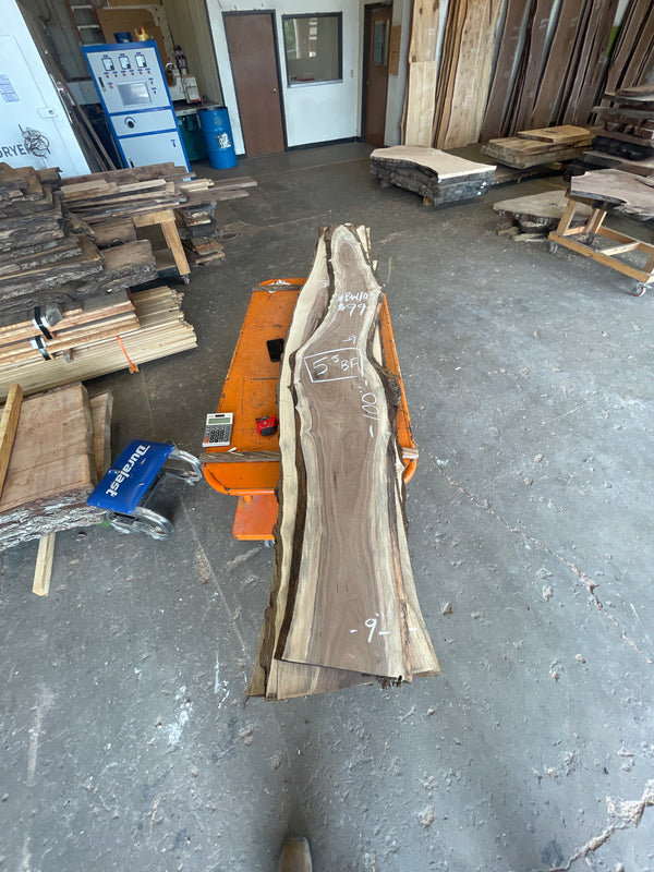 Black Walnut Slab #BW103
