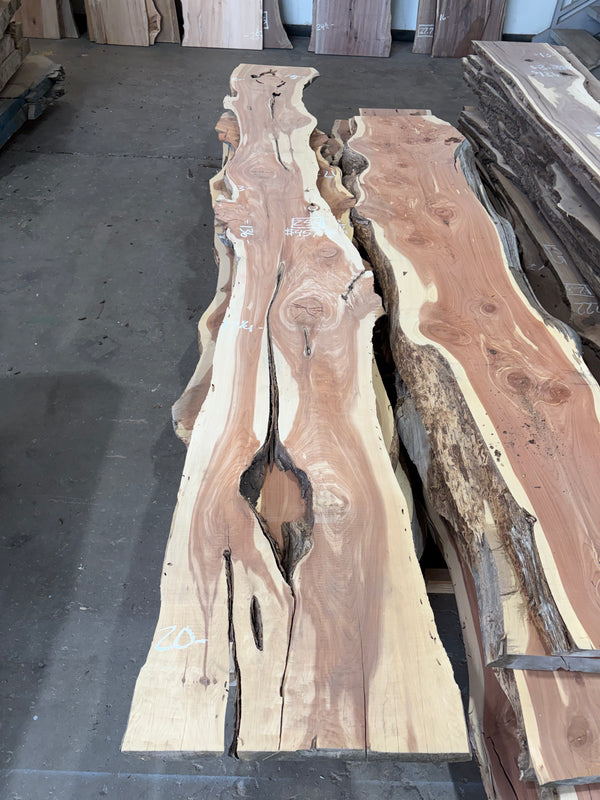 Cedar #C1702