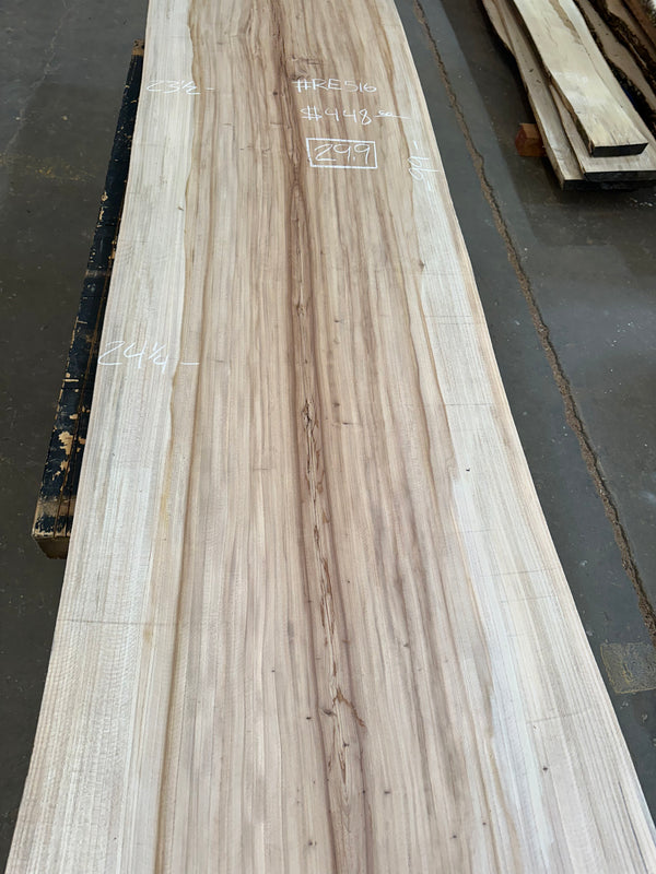 Red Elm #RE516