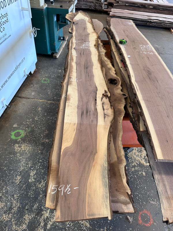 Black Walnut #BW1536
