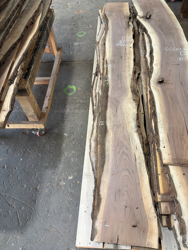 Black Walnut #BW158