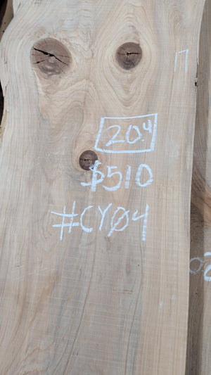 Bald Cypress live edge slab #CY04, chalk markings