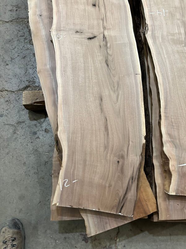 Black Walnut #BW1554