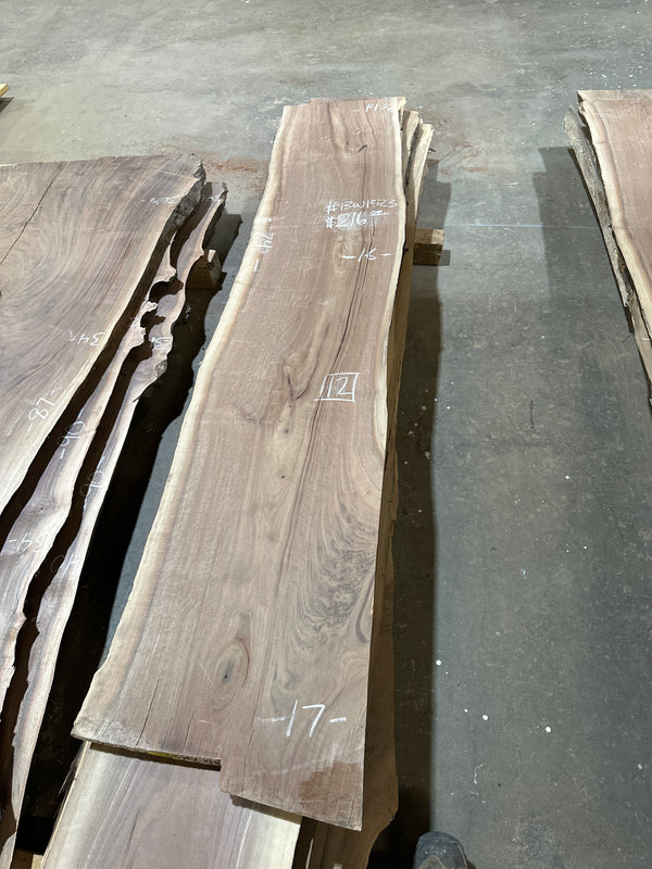 Black Walnut #BW1523