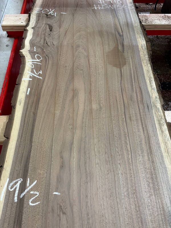 Black Walnut #BW1565