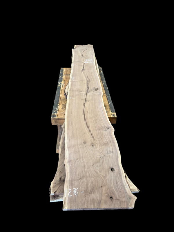 Black Walnut #BW1508