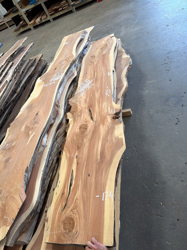 Cedar #C1704