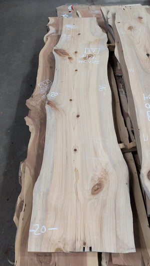 Bald Cypress live edge slab #CY05, 17 board feet