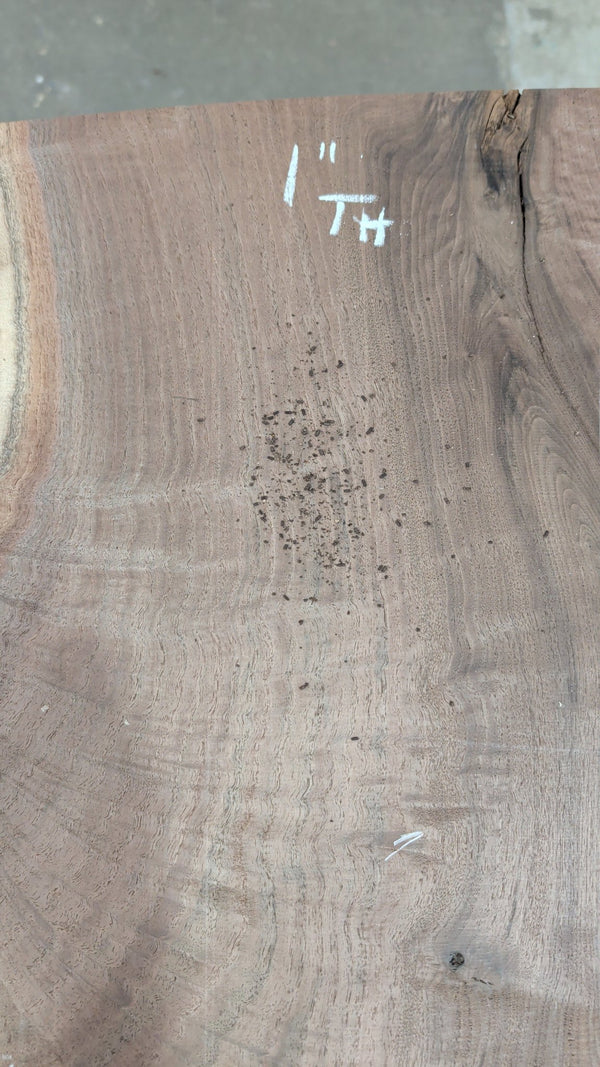 Black Walnut Live Edge Slab #BW14, 6.14 BF, 59 in. Long