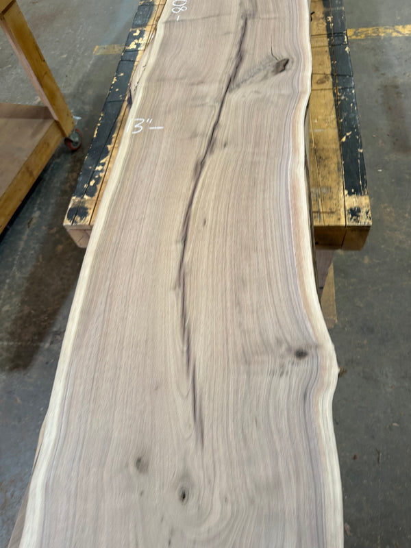 Black Walnut #BW1508