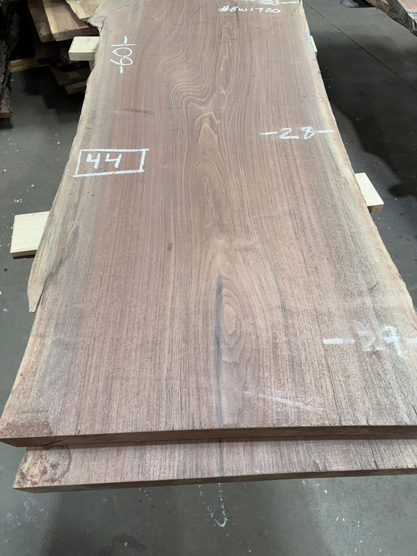 Black Walnut #BW1720
