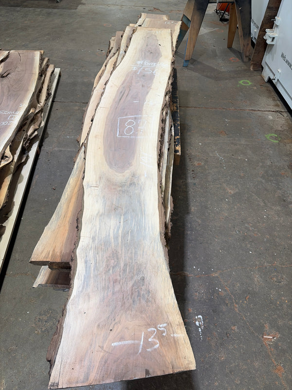 Black Walnut #BW1503