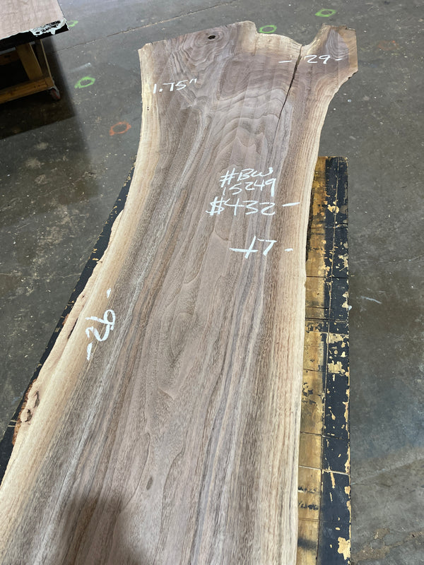 Black Walnut #BW15249