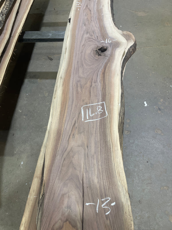 Black Walnut #BW1599