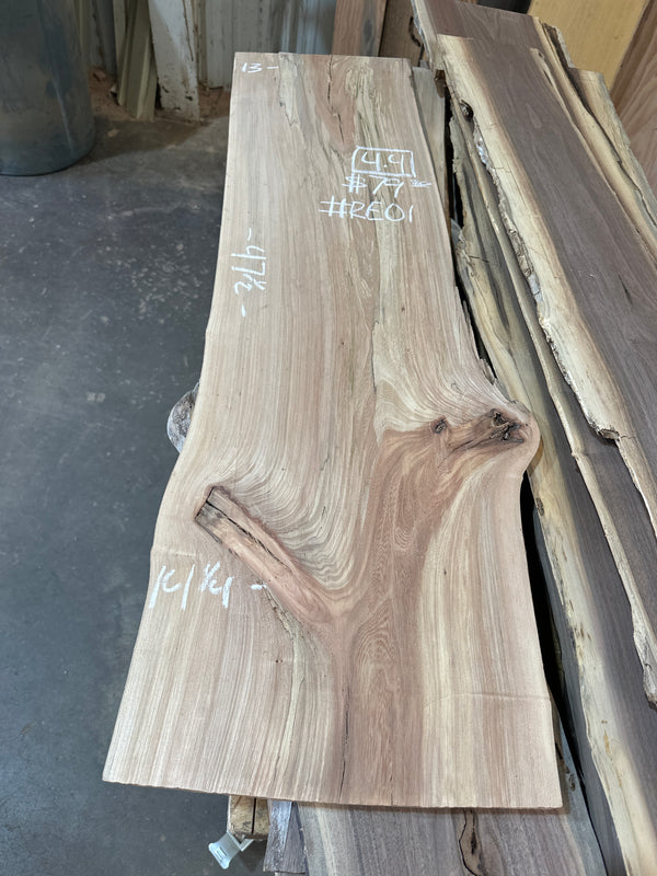 Red Elm #RE01