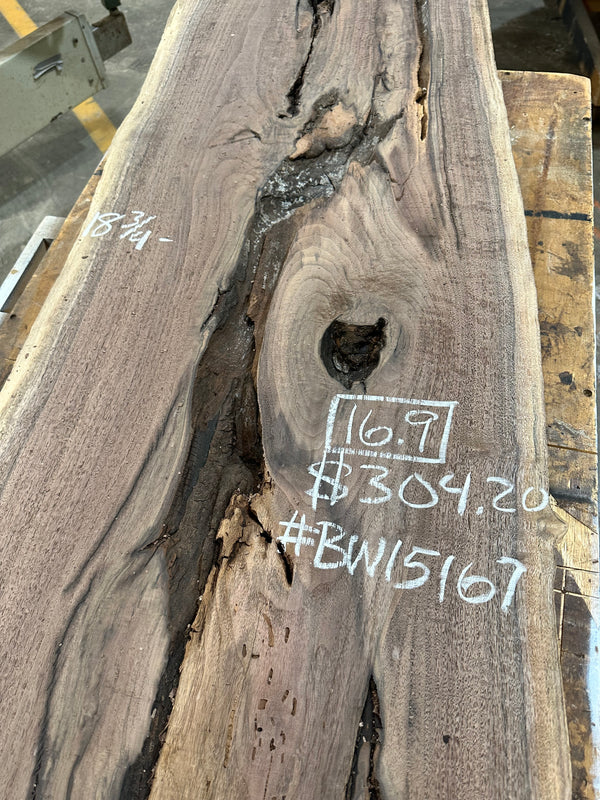 Black Walnut #BW15167