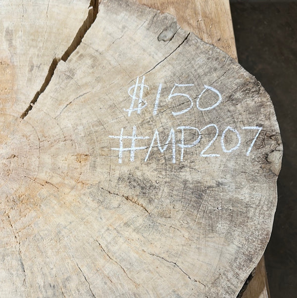 Maple Cookie #MP207
