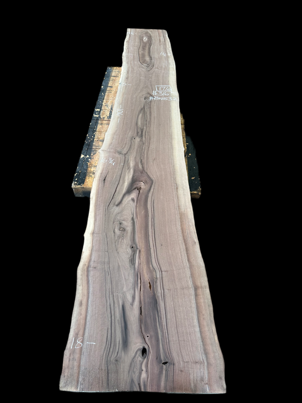 Black Walnut #BW1532