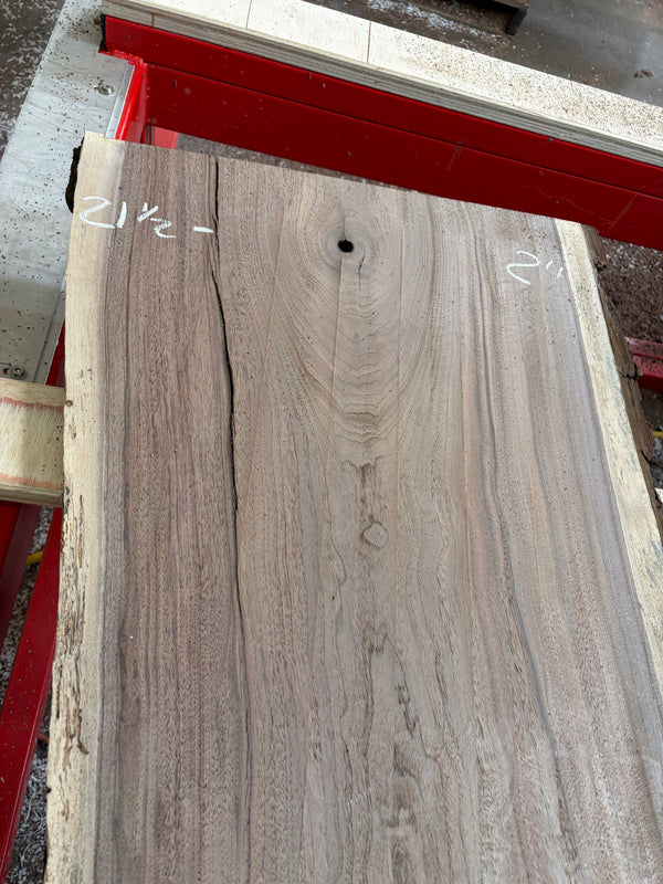 Black Walnut #BW1565