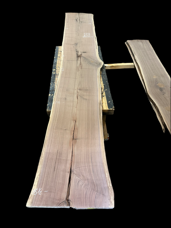 Black Walnut #BW1541
