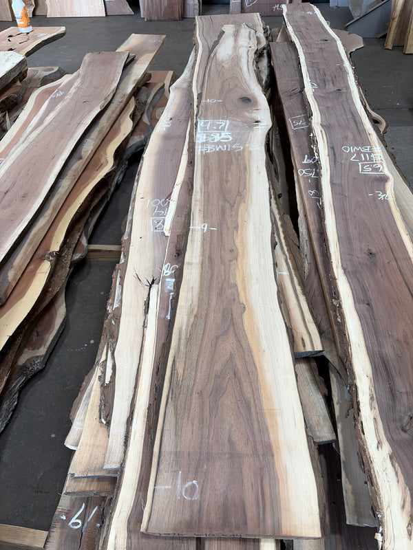 Black Walnut #BW1526