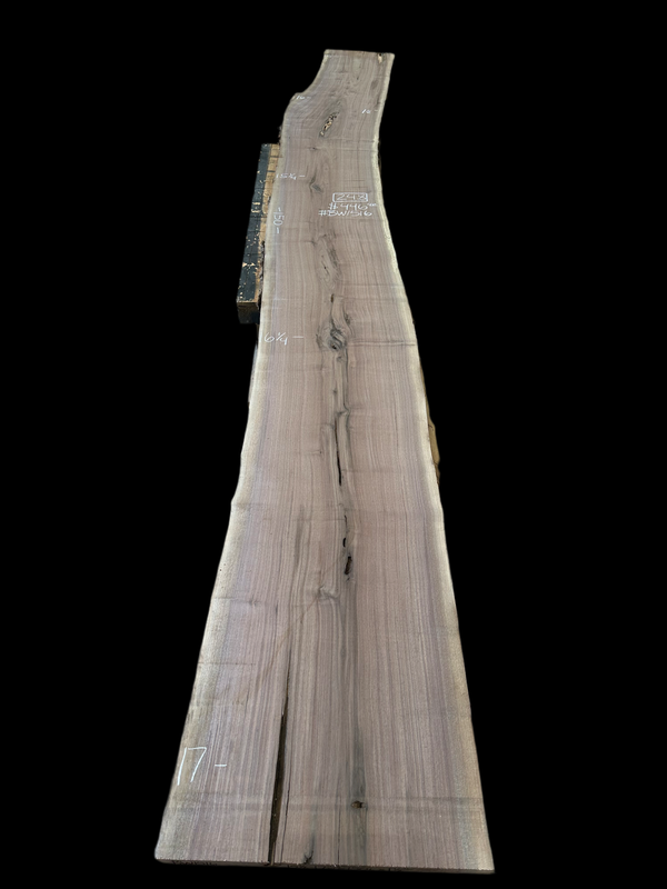 Black Walnut #BW1516