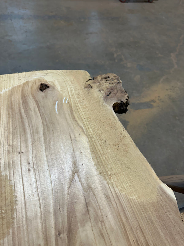 Red Elm #FWC025