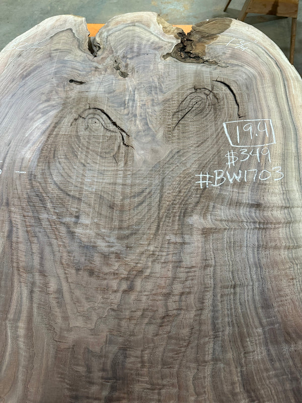 Black Walnut #BW1703