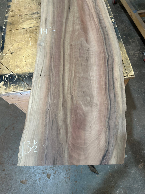 Black Walnut #BW1506