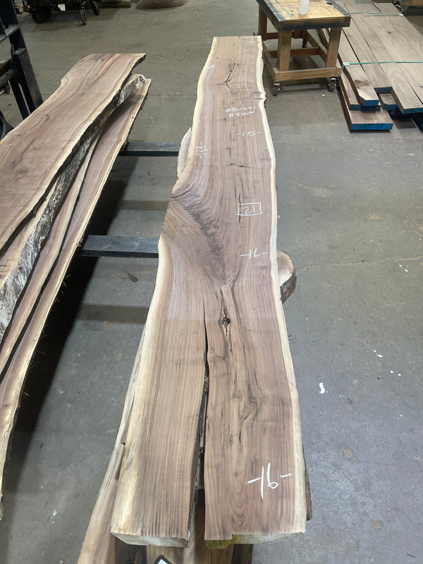 Black Walnut #BW1597